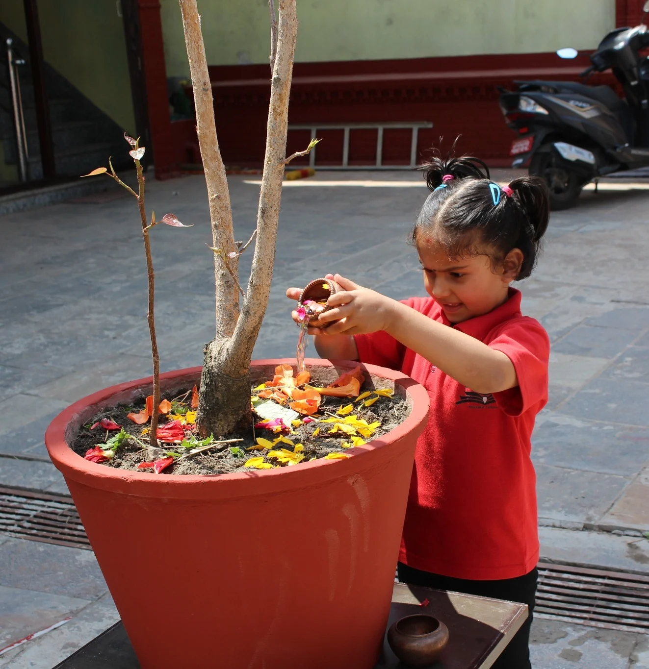 Graduate Undergraduate